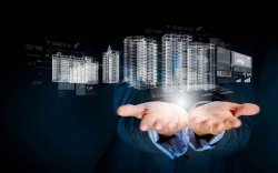 尖草坪小鸟视频矩阵