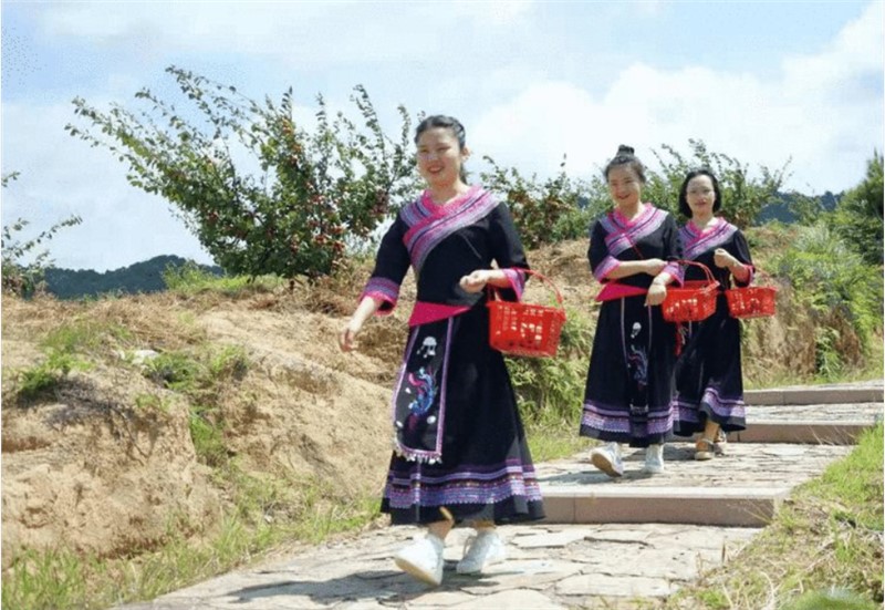 保定十荟团精准助农，打通优质农产品销售的前后一公里