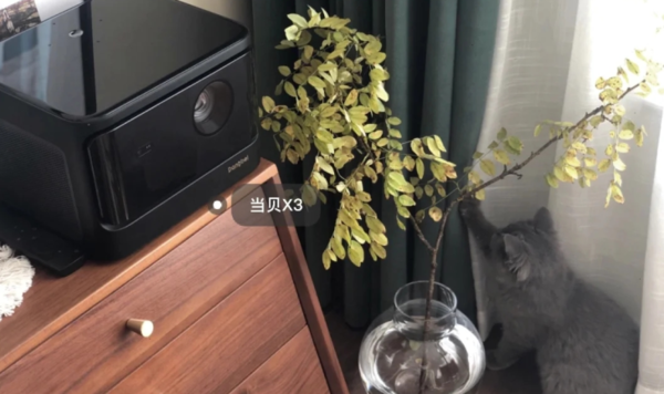 保定5000左右的投影仪推荐，当贝X3用户测评万元以内