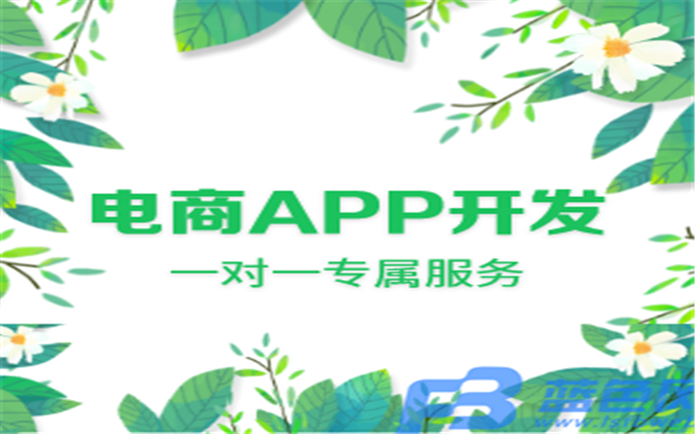 尖草坪 电商APP功能开发不能缺少哪些元素？
