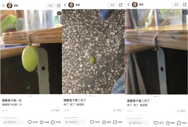 尖草坪靠晒葡萄涨粉近4万！小红书莫名其妙的风口来了，要跟吗？