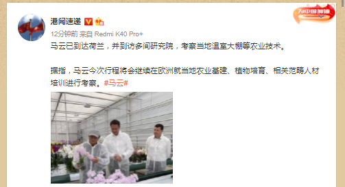 马云现身荷兰 考察农业技术