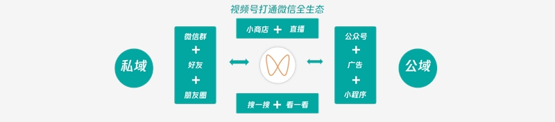 德阳数据拆解视频号的进程与优势，寻找品牌新增长