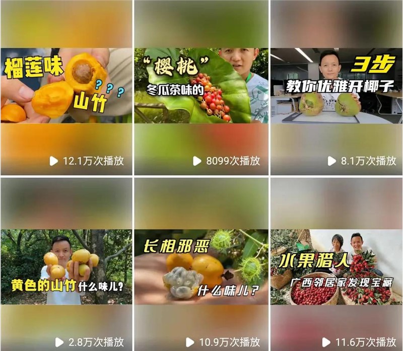 尖草坪知识视频战争，谁才是优等生？